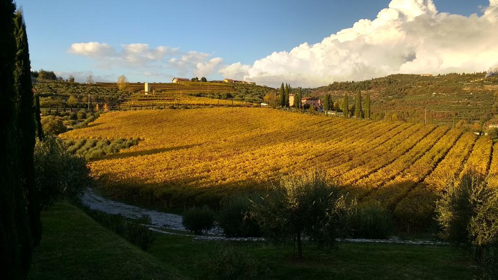 B&B Villa Roncatti Parona di Valpolicella エクステリア 写真