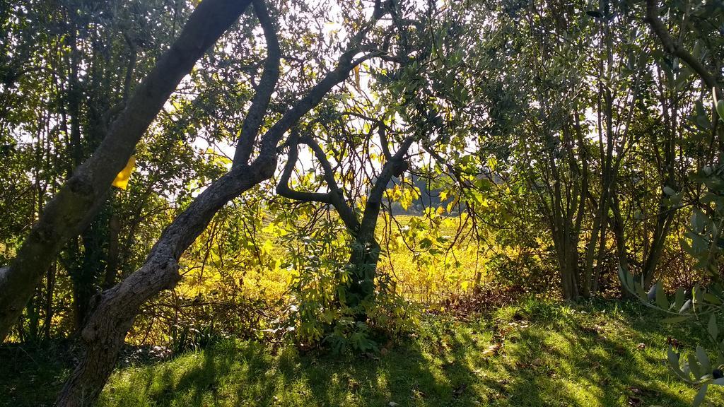 B&B Villa Roncatti Parona di Valpolicella エクステリア 写真